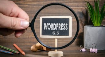 Wordpress 6.5