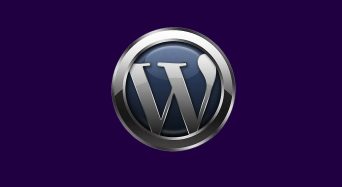 Wordpress 6.4