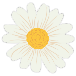 Hand Drawn Daisy Outlined